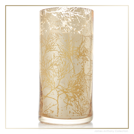 Thymes Forest Cedar Candle - Large | James Anthony Collection