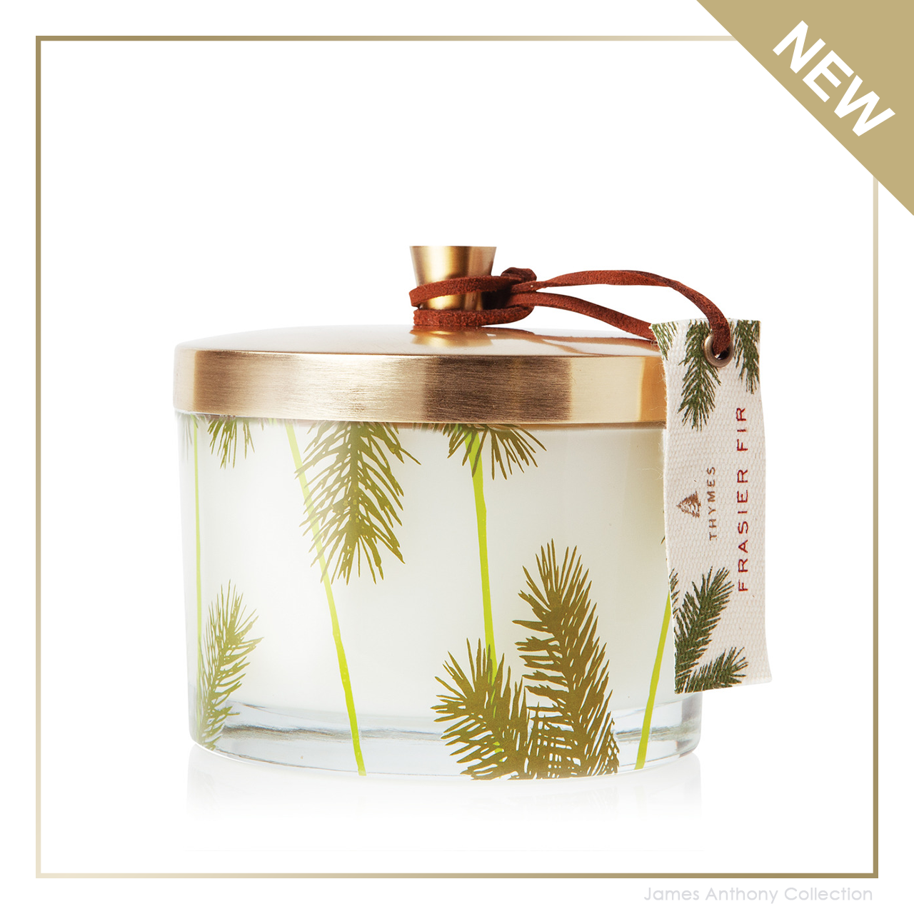 Thymes Frasier Fir Statement Pine Needle Candle 2 Oz - Digs N Gifts
