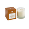 Hillhouse Naturals Gilded Pumpkin Candle In Frosted Glass 7oz. | James Anthony Collection
