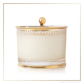Thymes Frasier Fir Frosted Wood Grain Medium Poured Candle | James Anthony Collection
