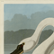 John James Audubon's Common American Swan - Havell Plate 411 - James Anthony Collection
