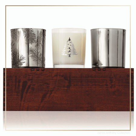 Thymes Frasier Fir Statement Candle Trio | James Anthony Collection