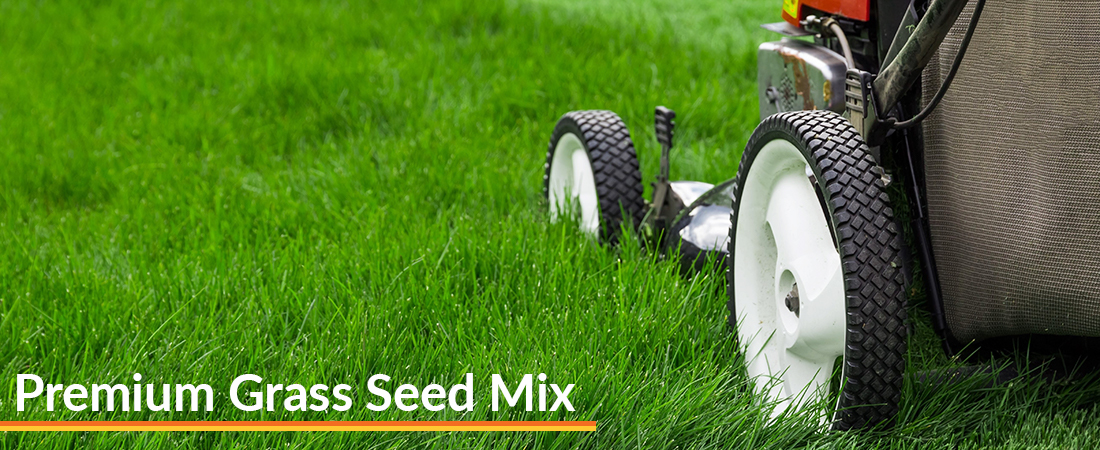 Premium Grass Seed Mix