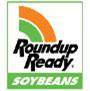 Roundup ready Soybeans