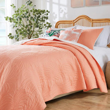 Palm Coast Coral Bedding Collection -
