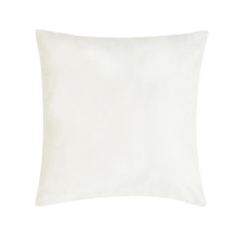 Valencia Cream 20" Square Pillow - 193842142929