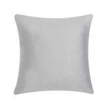 Valencia Silver 20" Square Pillow - 193842142837
