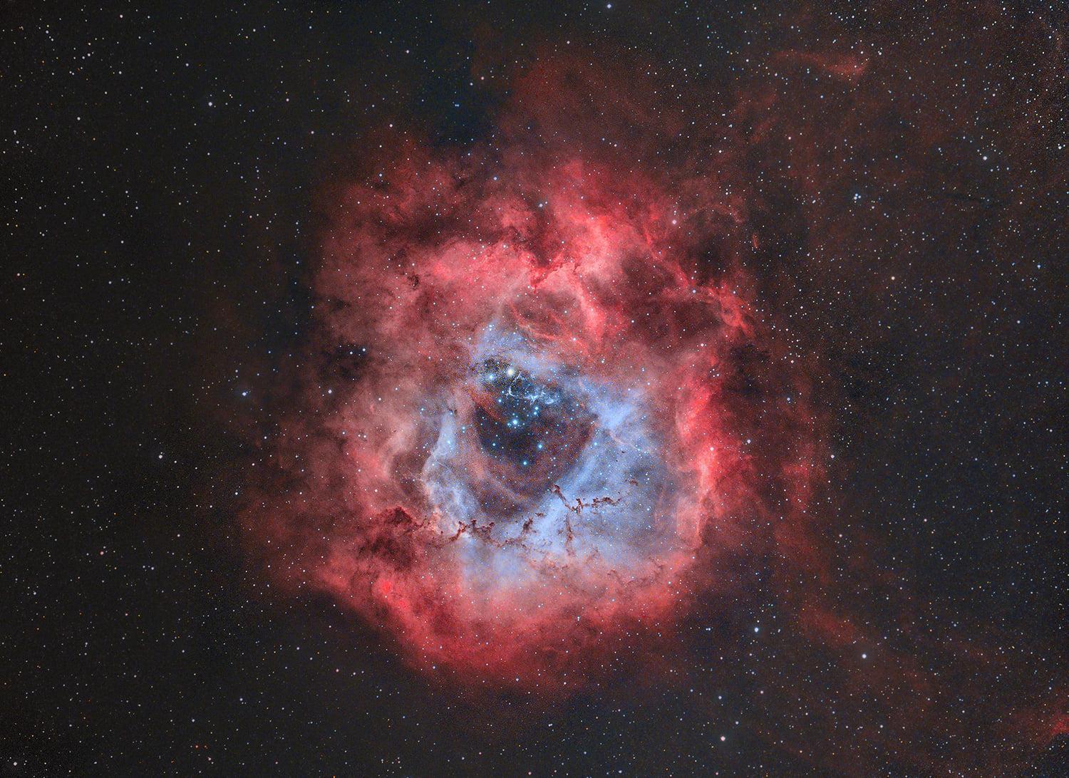 rosette-nebula-andrea-maggi.jpg