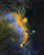 Seagull Nebula by James Shimoji