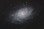M33 by Bill Tsai with FLT132 and C11HD