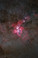 Eta Carina Nebula captured with RedCat 51 by renowned professional astronomer Dr. Wei-Hao Wang