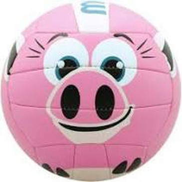 Molten Recreational Volleyball - Pig
