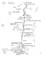 Ross River Mapbook