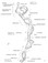 Stewart River Map