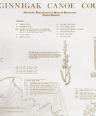 Sasaginnigak Canoe Country Historical Map