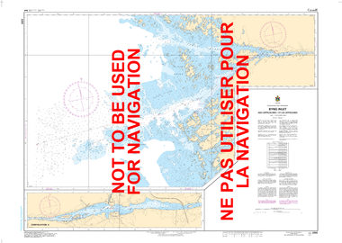 Byng Inlet and Approaches / et les approches Canadian Hydrographic Nautical Charts Marine Charts (CHS) Maps 2293