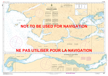 Skidegate Channel Canadian Hydrographic Nautical Charts Marine Charts (CHS) Maps 3891