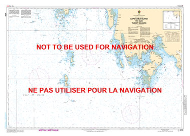 Cape Sable Island to / aux Tusket Islands Canadian Hydrographic Nautical Charts Marine Charts (CHS) Maps 4242