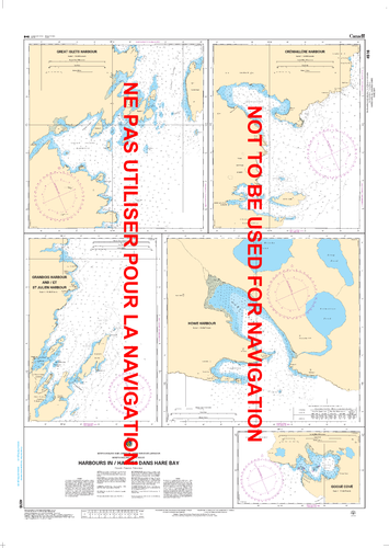 Harbours in / Havres dans Hare Bay Canadian Hydrographic Nautical Charts Marine Charts (CHS) Maps 4516
