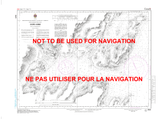 Sops Arm Canadian Hydrographic Nautical Charts Marine Charts (CHS) Maps 4541