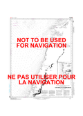 Cow Head to / à Pointe Riche Canadian Hydrographic Nautical Charts Marine Charts (CHS) Maps 4663