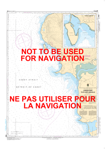 Larkin Point to / à Cape Anguille Canadian Hydrographic Nautical Charts Marine Charts (CHS) Maps 4682