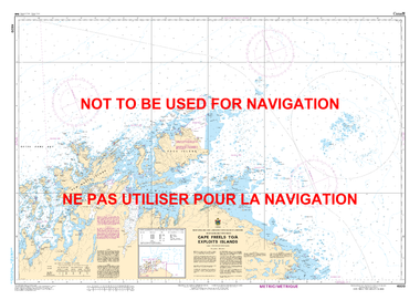 Cape Freels to / à Exploits Islands Canadian Hydrographic Nautical Charts Marine Charts (CHS) Maps 4820