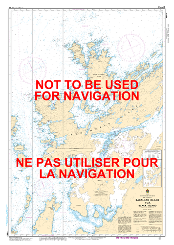 Bacalhao Island to / à Black Island Canadian Hydrographic Nautical Charts Marine Charts (CHS) Maps 4863