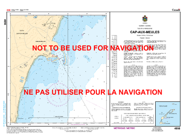 Cap-aux-Meules Canadian Hydrographic Nautical Charts Marine Charts (CHS) Maps 4956