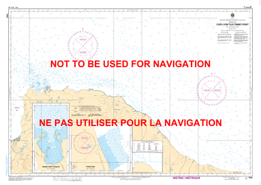 Cape Lyon to/à Tinney Point Canadian Hydrographic Nautical Charts Marine Charts (CHS) Maps 7666