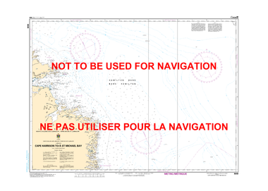 Cape Harrison to / à St. Michael Bay Canadian Hydrographic Nautical Charts Marine Charts (CHS) Maps 8048