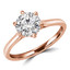 Round Cut Solitaire Engagement Ring in Rose Gold - #PAEZ-R