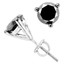 Round Cut Black Diamond Solitaire 3-Prong Stud Earrings in White Gold - #CDEACT6041