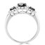 Round Cut Black Diamond Multi-Stone Three-Stone Triple-Halo 4-Prong Engagement Ring with Round Cut White Diamond Accents in White Gold - #CDFR0C9070