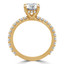 Round Cut Diamond Multi-Stone 4-Prong Engagement Ring with Round Diamond Accents in Yellow Gold - #FRED-Y