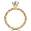 Round Cut Diamond Multi-Stone 4-Prong Engagement Ring with Round Diamond Accents in Yellow Gold - #APIA-Y