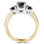Round Cut Black Diamond Three-Stone 4-Prong Engagement Ring in Yellow Gold - #1547L-Y-BLK