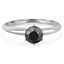 Round Cut Black Diamond Solitaire 6-Prong Engagement Ring in White Gold - #S6R-BLK-W