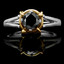 Round Cut Black Diamond Solitaire 4-Prong Engagement Ring in Two-tone Gold - #YWA0015A-BLK-W-Y