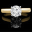Round Cut Diamond Solitaire Cathedral-Set 4-Prong Engagement Ring in Yellow Gold - #2545L-SMALL-Y