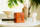 Mahogany Wood Buddha Cremation Urn