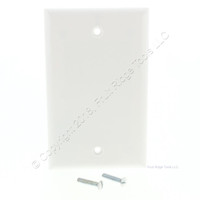 Eagle White Thermoset Plastic Standard 1-Gang Blank Cover Box Mounted Wallplate 2129W