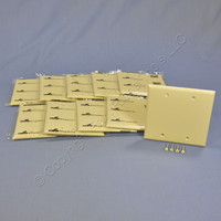 10 Cooper Ivory Standard 2-Gang Blank Thermoplastic Unbreakable Wallplate Covers 5137V