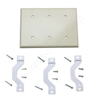 Leviton Ivory Residential 3G Plastic Blank Cover Strap Mount Wallplate 86035