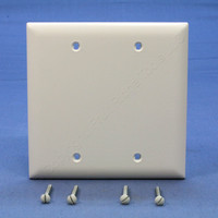 P&S TrademasterWhite 2-Gang Blank Box Mount Unbreakable Wallplate Cover TP23-W
