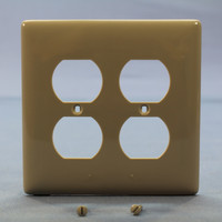 Hubbell Gray UNBREAKABLE 2-Gang Duplex Receptacle Outlet Mid-Size Wallplate Cover NPJ82GY
