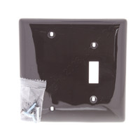 Hubbell Brown 2-Gang Toggle Switch Blank Cover Switchplate Wallplate NP113