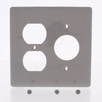 Hubbell Gray 2-Gang Combination Duplex Receptacle/1.43" Outlet Unbreakable Wallplate Cover NP78GY