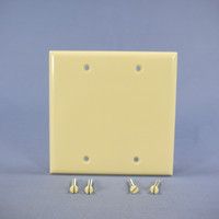 Cooper Ivory STANDARD 2-Gang Blank Cover Box Mounted Thermoset Wallplate 2137V