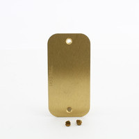 Hubbell Blank Brass Plate S609B For S6088 Above-Floor Electrical Pedestal Box